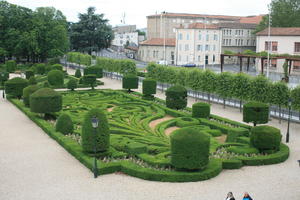 bush, Castres, day, elevated, France, garden, hedge, Midi-Pyrenees, natural light, park, summer, tree