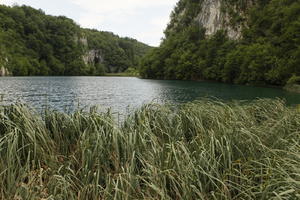 Croatia, day, diffuse, diffused light, eye level view, Karlovacka, lake, natural light, reed, summer, woodland