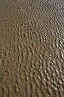 beach, close-up, day, Essaouira, Morocco, sand, sunny