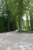 day, eye level view, France, Ile-De-France, landmarks, Palace of Versailles, Paris, park, path, pavement, spring, summer