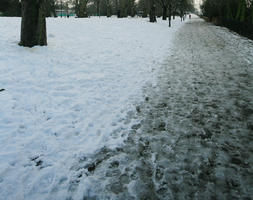 Battersea park, day, England, eye level view, London, natural light, park, snow, The United Kingdom, track, tree, vegetation, winter