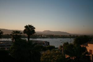 dusk, East Timor, Egypt, Egypt, elevated, landmarks, natural light, palm, river Nile, tree, vegetation