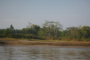 afternoon, Brunei, day, eye level view, forest, river, summer, sunny, treeline, tropical