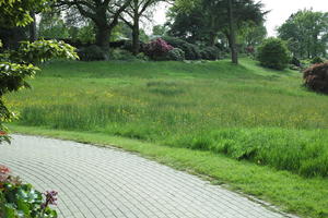 day, England, eye level view, garden, grass, natural light, park, The United Kingdom, Woking