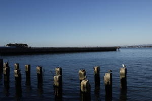 autumn, California, eye level view, pier, San Francisco, seascape, sunset, The United States