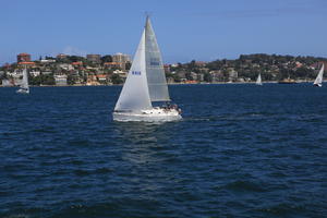 Australia, boat, cityscape, day, eye level view, New South Wales, seascape, summer, sunny, Sydney, yacht