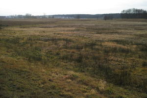 ambient light, countryside, day, eye level view, grass, marsh, open space, overcast, Poland, Wielkopolskie, winter, Wolsztyn