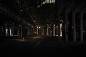 artificial lighting, England, eye level view, London, night, spring, The United Kingdom, tree, urban, walkway