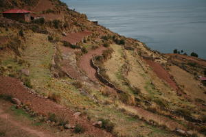 day, elevated, field, hill, natural light, Peru, Puno, spring