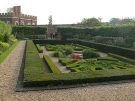 afternoon, bush, day, England, eye level view, garden, hedge, natural light, park, plant, summer, sunny, The United Kingdom