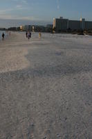 beach, evening, eye level view, Florida, group, Sarasota, shore, sunny, sunshine, The United States, walking, winter