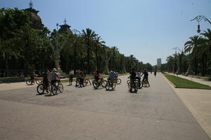 Barcelona, bright, Cataluña, cycling, day, direct sunlight, eye level view, group, lamppost, palm, people, Spain, spring, street, summer, sunny, vegetation