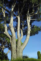 below, day, France, park, Provence Alpes Cote D