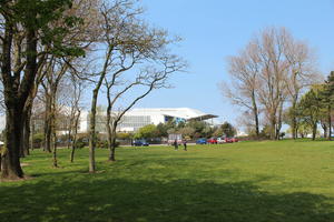 Boulogne-sur-Mer, broad-leaf tree, broad-leaved tree, day, eye level view, France, grass, Nord-Pas-de-Calais, park, spring, sunny, tree