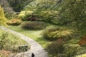 afternoon, bush, day, Edinburgh, elevated, natural light, park, Scotland, spring, The United Kingdom, vegetation