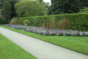 day, England, eye level view, flower, garden, grass, natural light, park, The United Kingdom, Woking