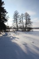 afternoon, bright, day, deciduous, eye level view, Poland, shady, snow, sunny, tree, Wielkopolskie, winter