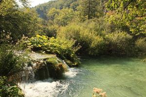 bush, Croatia, day, eye level view, Karlovacka, lake, sunny, tree, vegetation, waterfall