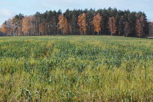 Poland, Wielkopolskie