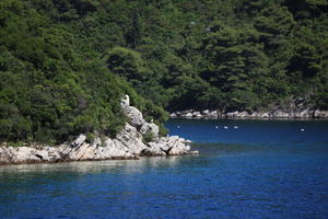 coastline, Croatia, day, eye level view, seascape, summer, tree, vegetation, woodland