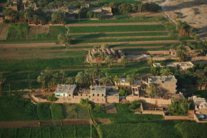 aerial view, building, dusk, East Timor, Egypt, Egypt, palm, tree, vegetation