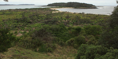 Australia, day, diffuse, diffused light, elevated, natural light, shrubland, summer