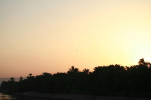 clear, dusk, East Timor, Egypt, Egypt, eye level view, palm, river, river Nile, silhouette, sky, vegetation