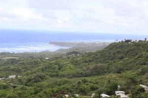 Barbados, day, elevated, natural light, seascape, spring, tropical, vegetation, woodland