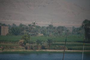 day, East Timor, Egypt, Egypt, elevated, landmarks, natural light, palm, river, river Nile, tree, vegetation