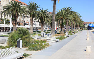 bollard, bush, Croatia, day, evergreen, eye level view, palm, pavement, Phoenix canariensis, shrub, Splitsko-Dalmatinska, summer, sunny