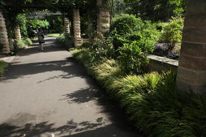 Australia, bush, day, eye level view, grass, natural light, New South Wales, park, path, summer, sunny, Sydney