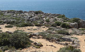 day, eye level view, Faro, Faro, flower, greenery, ground, open space, path, Portugal, rock, rockery, rocks, sand, seascape, shrub, summer, sunlight, sunny, vegetation, waterfront