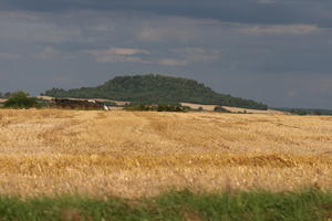 Bourgogne, crop, day, Dijon, eye level view, field, France, hill, natural light, woodland