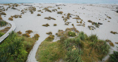 day, diffuse, diffused light, elevated, grass, natural light, New Zealand, overcast, plant, sand dune, summer, West Coast