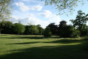 broad-leaf tree, broad-leaved tree, day, England, eye level view, grass, London, park, summer, sunny, The United Kingdom, treeline