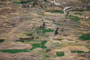 Arequipa, Arequipa, autumn, day, elevated, natural light, Peru, sunny, valley, Valley of Volcanoes, vegetation