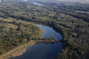 aerial view, Austria, day, forest, natural light, river, sunny, vegetation, Vienna, Wien