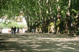 alley, bench, broad-leaf tree, broad-leaved tree, day, eye level view, park, Porto, Porto, Portugal, shady, spring, sunny