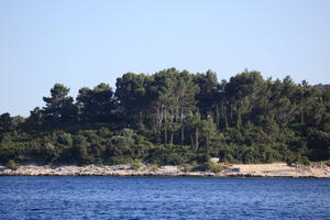 coastline, Croatia, day, Dubrovacko-Neretvanska, eye level view, Korcula, seascape, summer, tree, vegetation