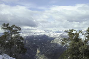 cloud, coniferous, day, elevated, evergreen, France, Greolieres, mountain, Provence Alpes Cote D