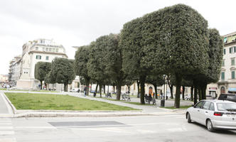 Arezzo, day, eye level view, Italia , manicured trees, natural light, spring, street, Toscana, tree