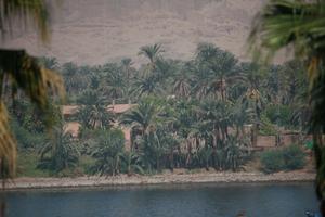 day, East Timor, Egypt, Egypt, elevated, landmarks, natural light, palm, river, river Nile, tree, vegetation