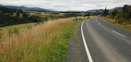 day, diffuse, diffused light, eye level view, grass, greenery, natural light, New Zealand, overcast, road, summer