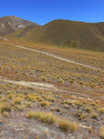 day, eye level view, grassland, mountain, New Zealand, summer, sunny