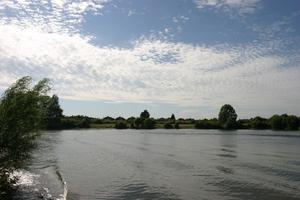 Andalucia, day, eye level view, river, Spain, tree, vegetation