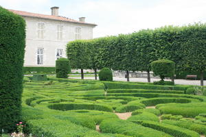 bush, Castres, day, eye level view, France, garden, hedge, Midi-Pyrenees, natural light, park, summer, tree