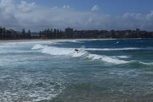 Australia, beach, day, eye level view, New South Wales, people, seascape, summer, sunny, swimming, Sydney