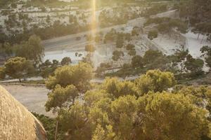 Alicante, dusk, elevated, park, Spain, tree, Valenciana, vegetation