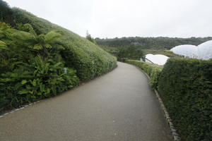 autumn, bush, day, diffuse, diffused light, Eden Project, England, eye level view, garden, hedge, path, shrub, The United Kingdom