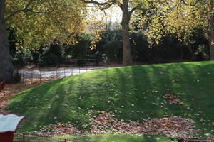 afternoon, autumn, Battersea park, day, England, eye level view, grass, leaf, London, park, sunny, The United Kingdom, tree